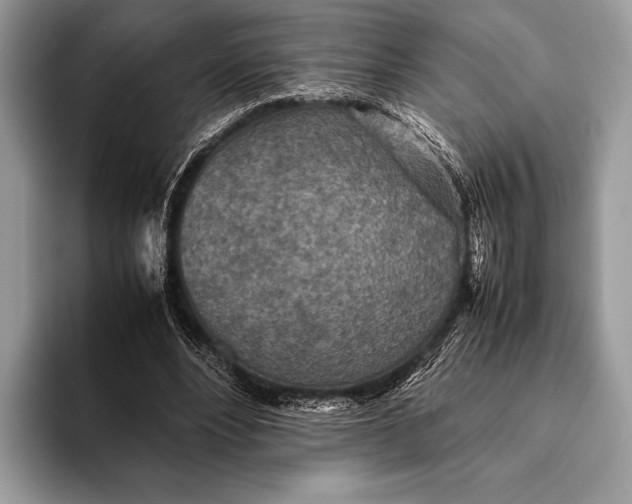 X0000093160488200710171212