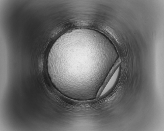 X0000093160491200710171212