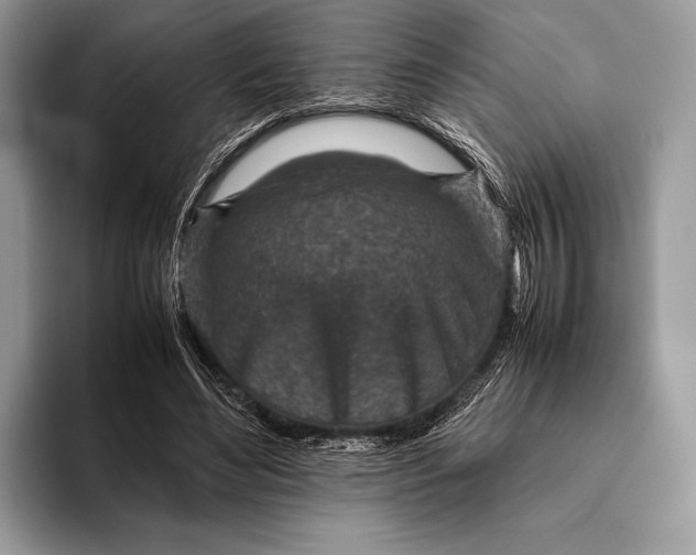 X0000093160492200710171212
