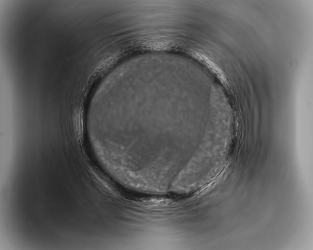 X0000093160493200710171212