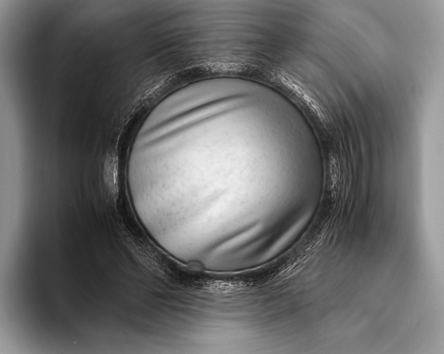 X0000093160494200710171212