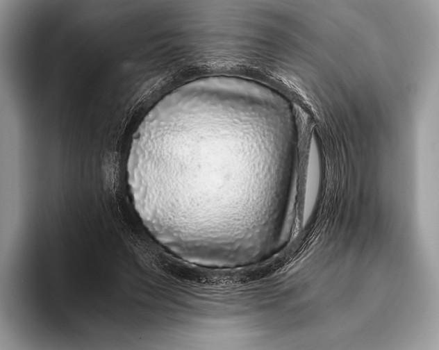 X0000093160495200710171212