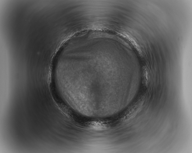 X0000093160496200710171212