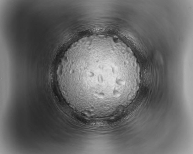 X0000093160499200710171212