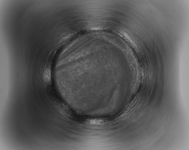 X0000093160500200710171212