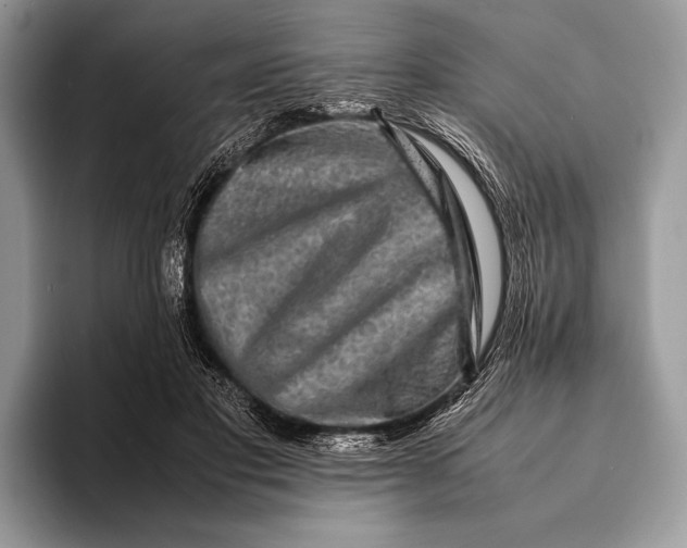 X0000093160501200710171212