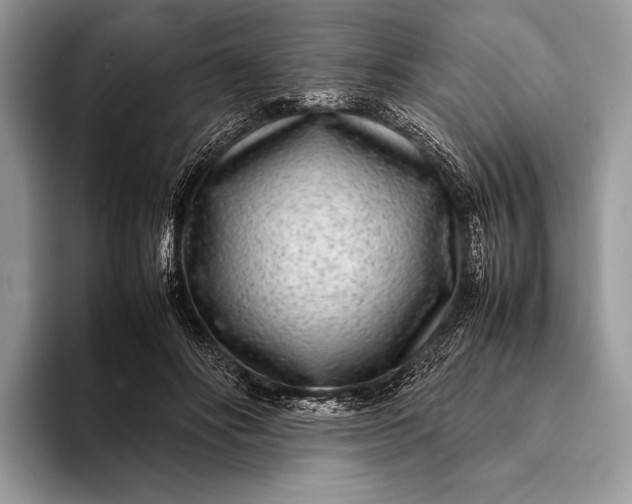 X0000093160502200710171212
