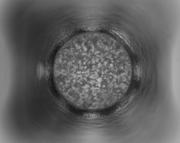 X0000093160503200710171212