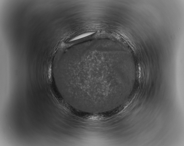 X0000093160504200710171212
