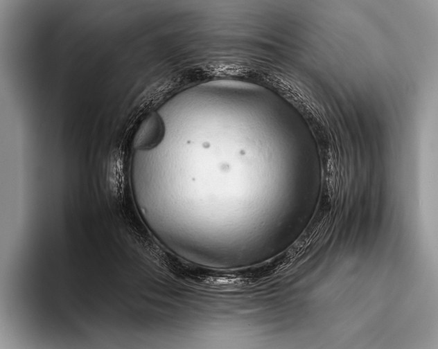 X0000093160506200710171212