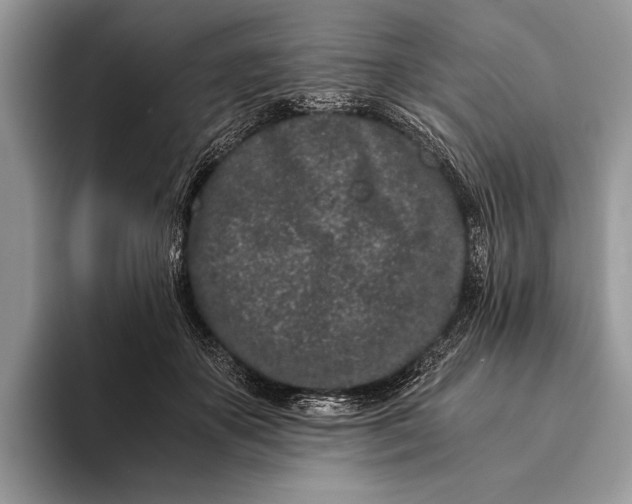 X0000093160507200710171212