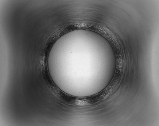 X0000093160510200710171212