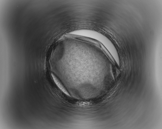 X0000093160512200710171212
