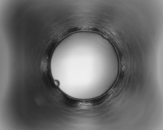 X0000093160515200710171212