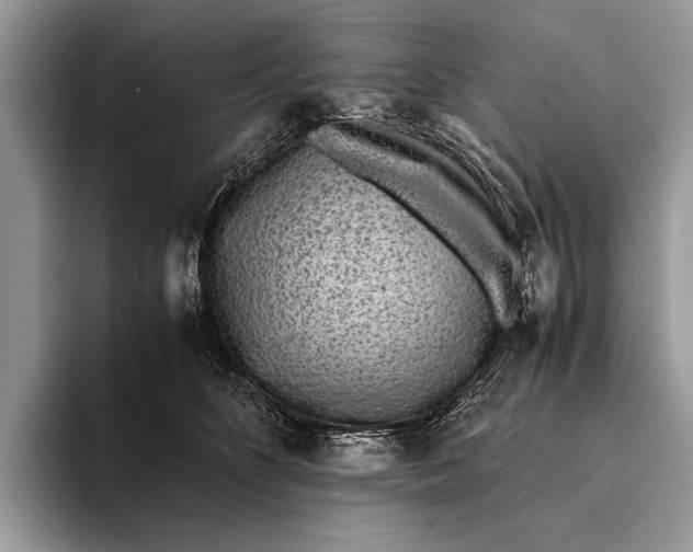 X0000093160516200710171212
