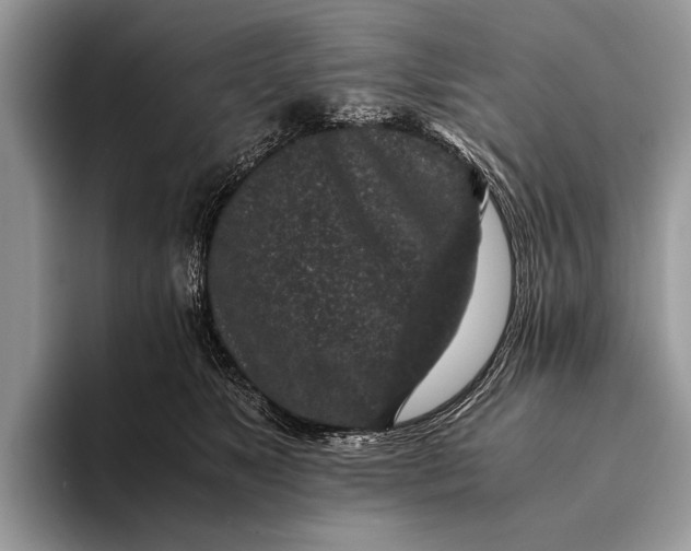 X0000093160517200710171212