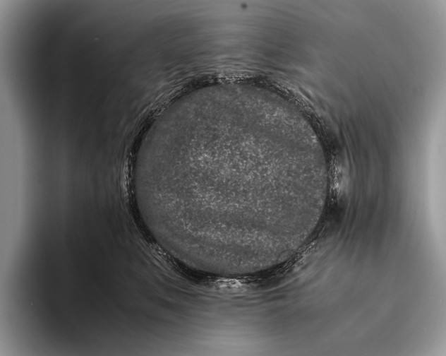X0000093160519200710171212