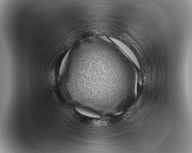 X0000093160520200710171212