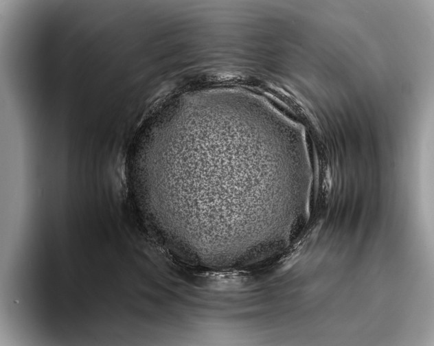 X0000093160524200710171212