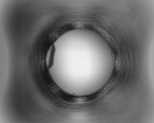 X0000093160525200710171212