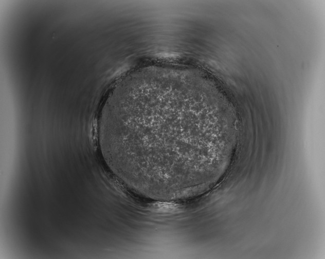 X0000093160528200710171212