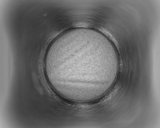 X0000093160529200710171211
