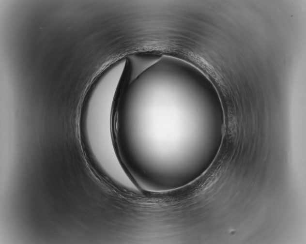 X0000093160530200710171211