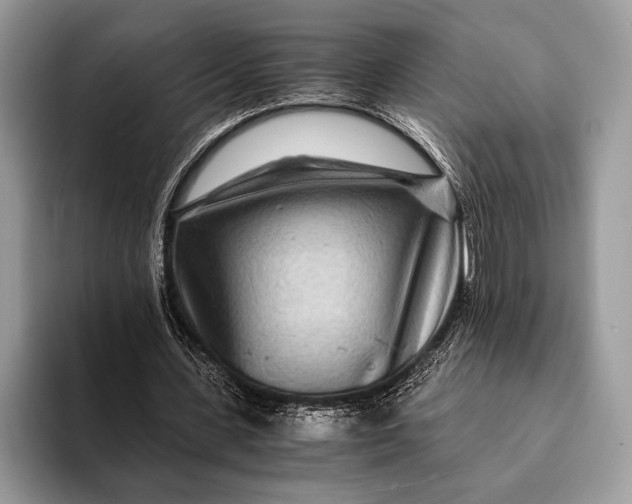 X0000093160531200710171211