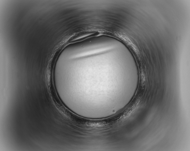 X0000093160533200710171211