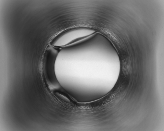 X0000093160536200710171211