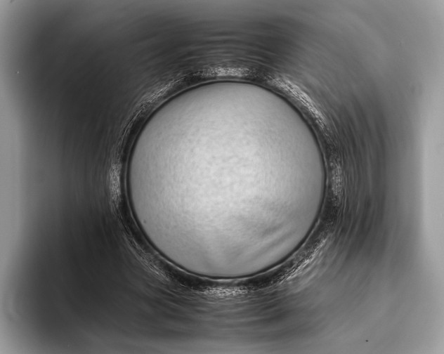 X0000093160537200710171211