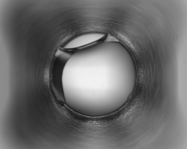 X0000093160538200710171211