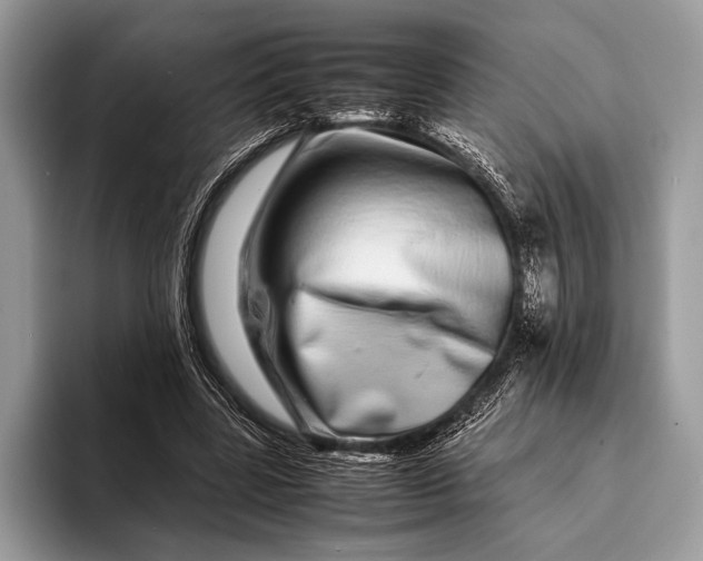 X0000093160539200710171211
