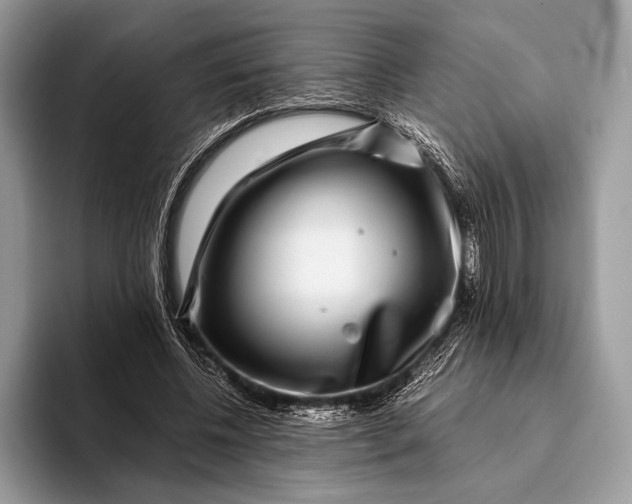 X0000093160540200710171211