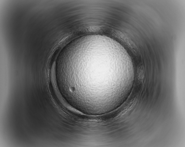 X0000093160542200710171211
