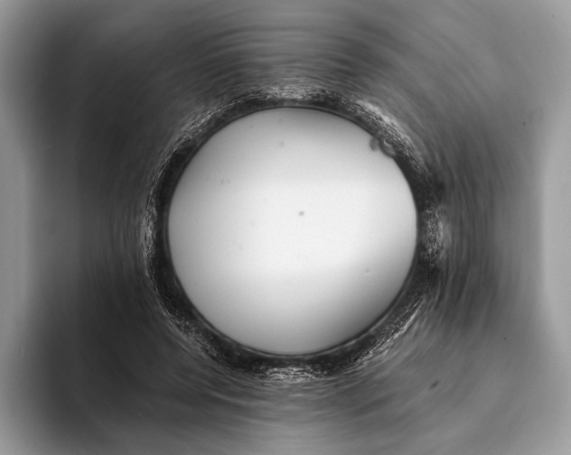 X0000093160544200710171211