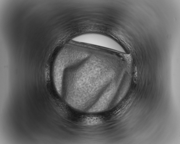X0000093160547200710171211