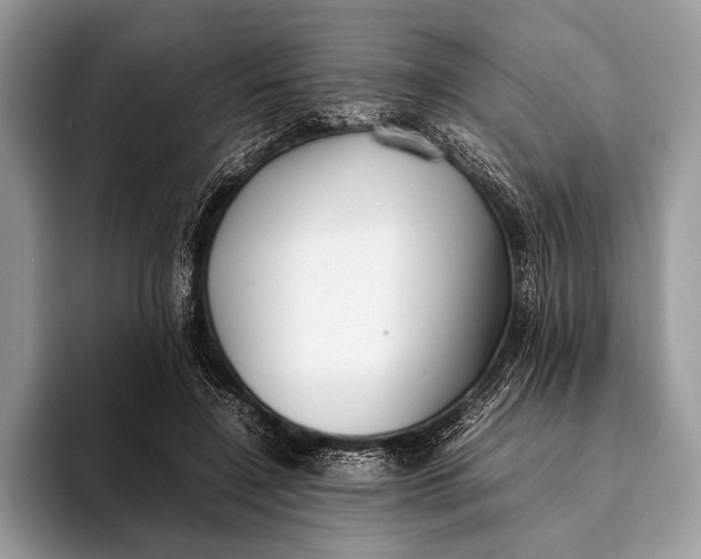 X0000093160548200710171211