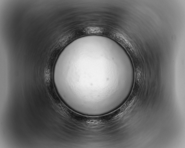 X0000093160549200710171211