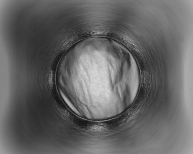 X0000093160550200710171211