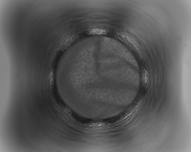 X0000093160551200710171211