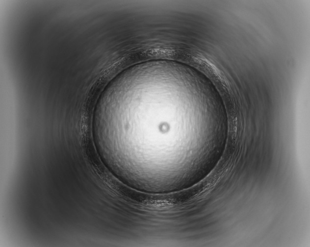 X0000093160553200710171211