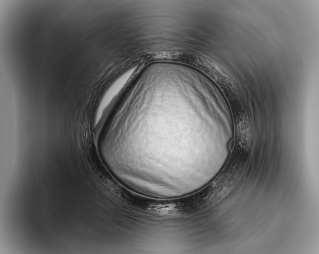 X0000093160554200710171211