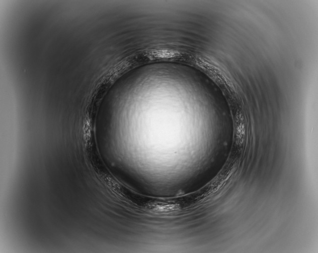 X0000093160555200710171211