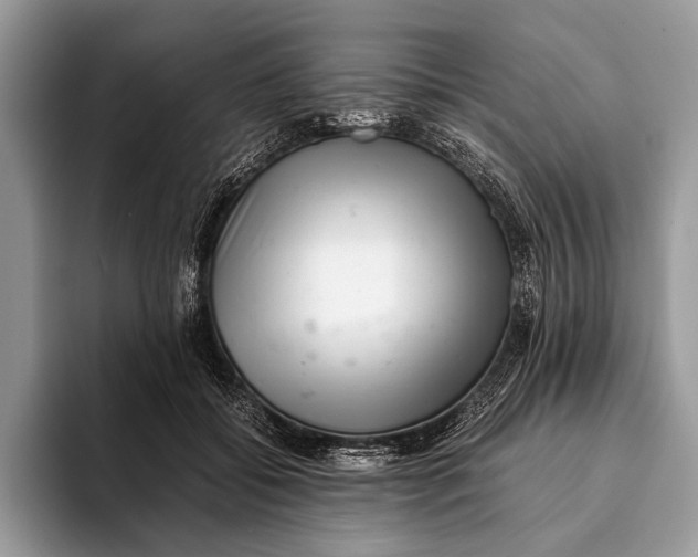 X0000093160556200710171211