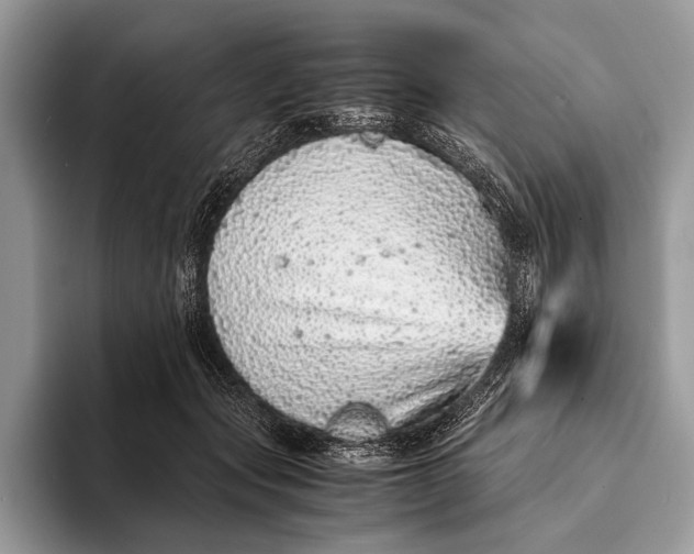 X0000093160557200710171211