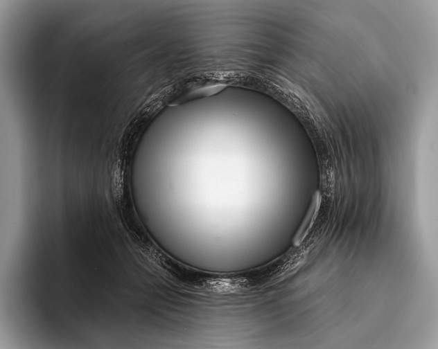 X0000093160558200710171211