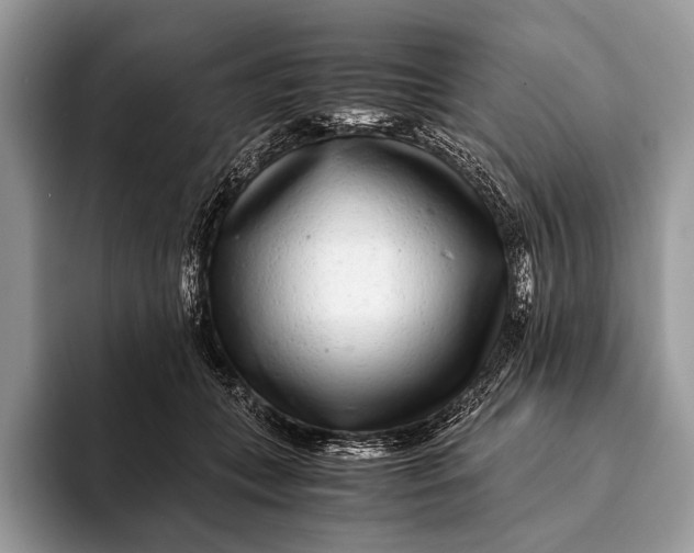 X0000093160559200710171211