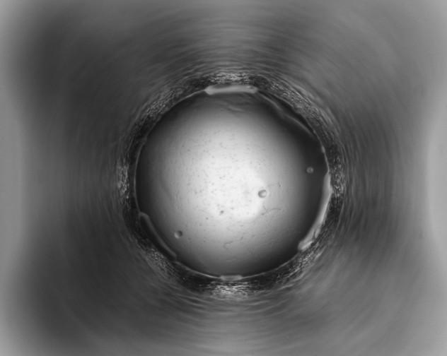 X0000093160560200710171211