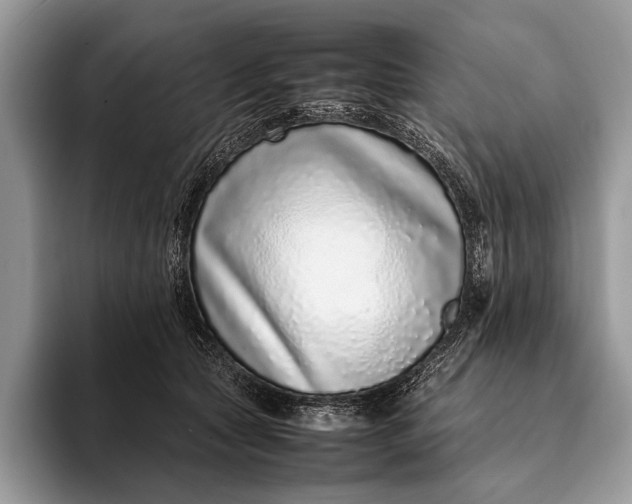 X0000093160561200710171212